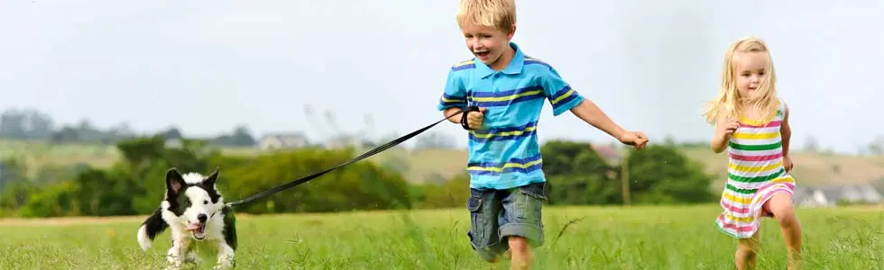 Two children, a boy holding a leash attached to a dog and a girl, run through a grassy field. The dog is a black and white border collie. The background is a distant landscape.